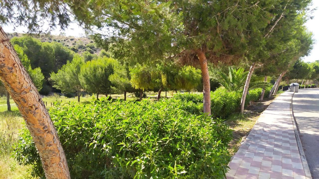 Alojamiento En Urb La Marina San Fulgencio Εξωτερικό φωτογραφία